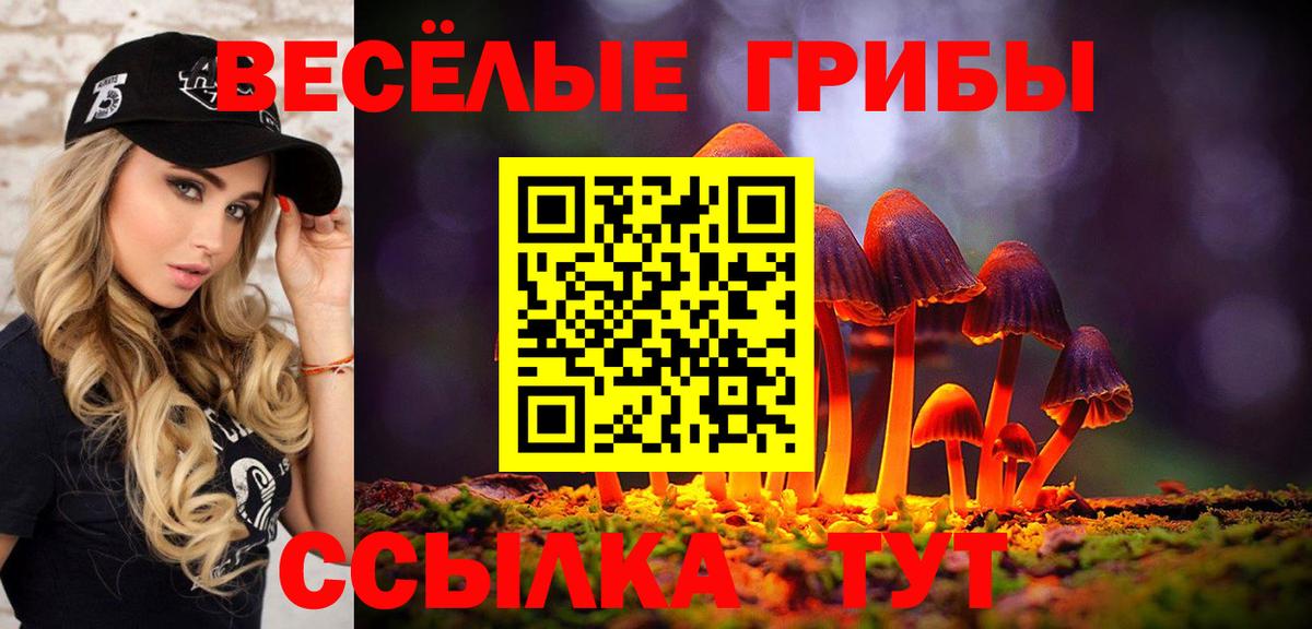 Галлюциногенные грибы ЛСД Новокубанск